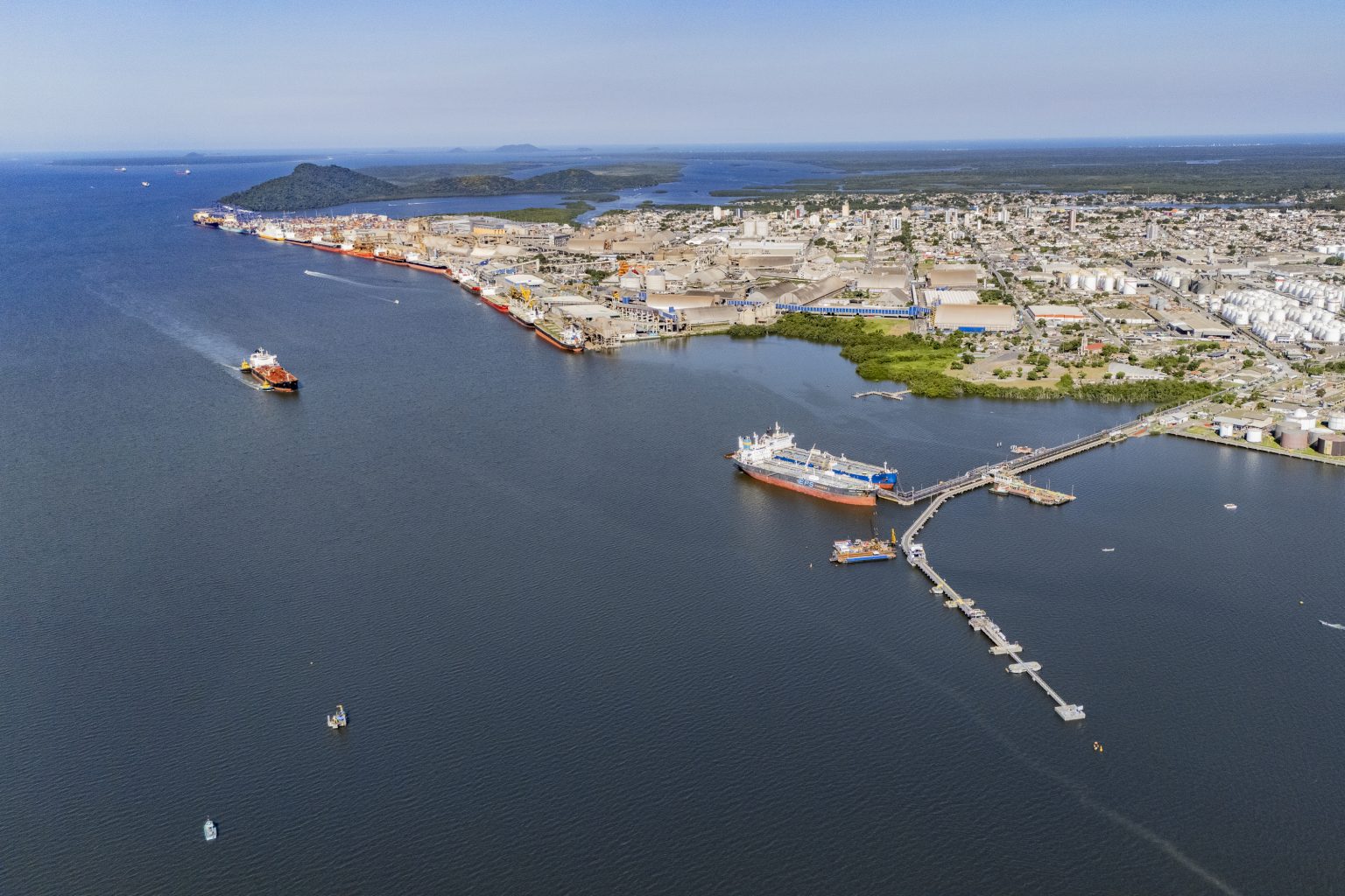 Porto de Paranaguá concentra 70% das exportações brasileiras de óleo de soja