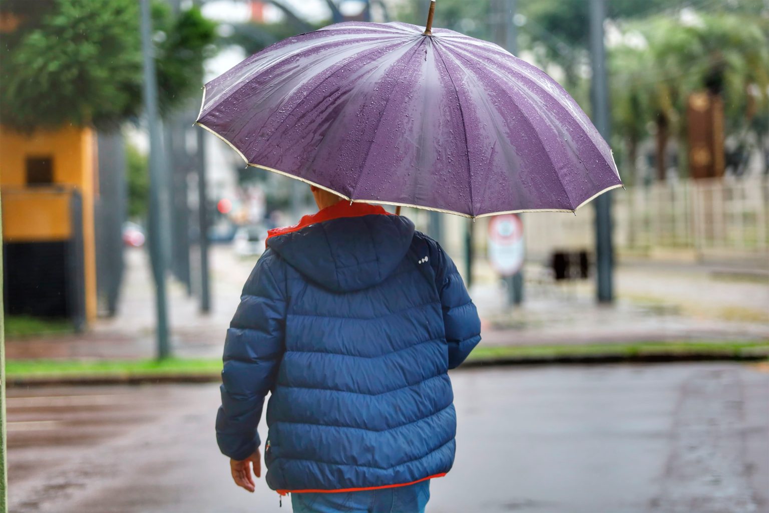 Após registrar -1°C e geada no Sul, Paraná entra em alerta para chuva intensa e trovoadas