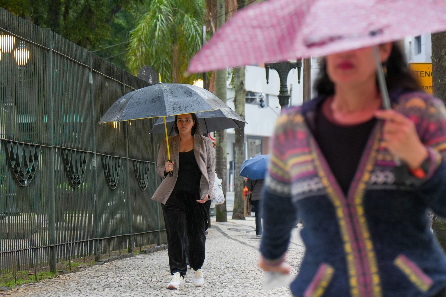 Após Tempestades e Recorde de Raios, Paraná Segue com Alerta de Chuva Volumosa