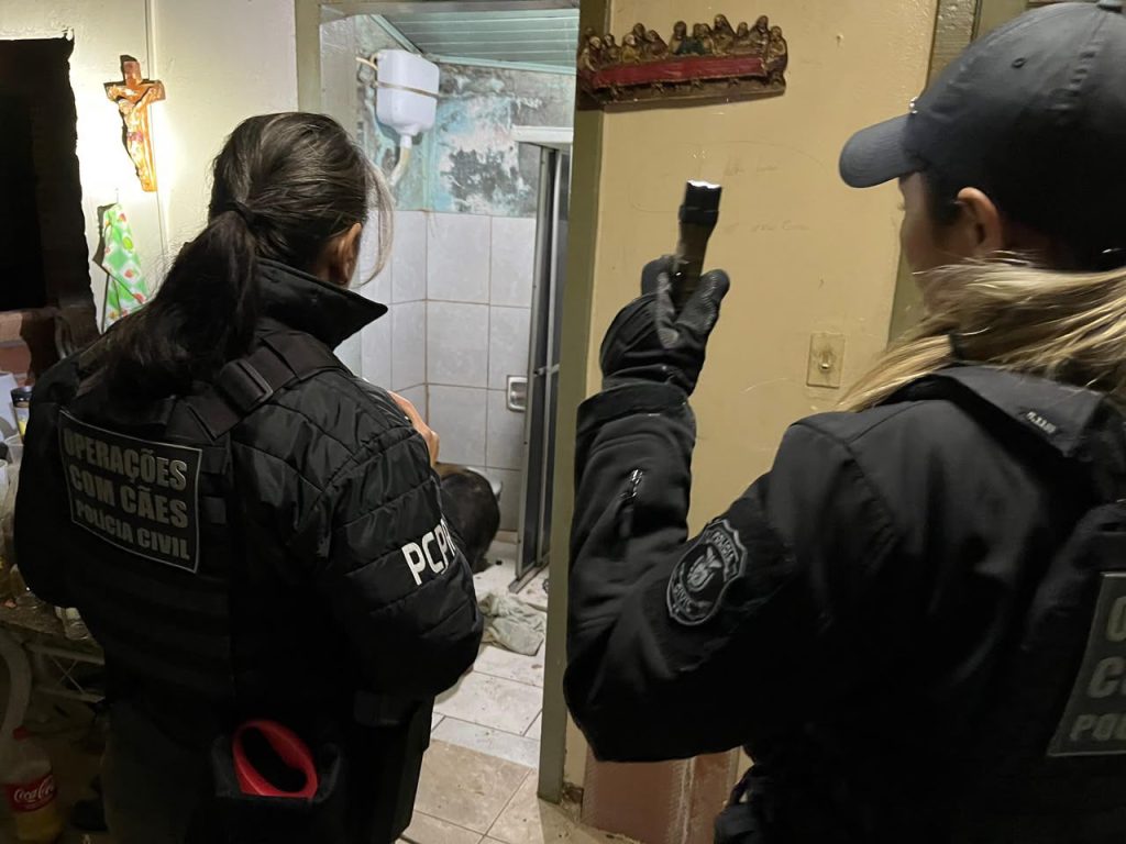 Campos Gerais: Forças de segurança deflagram operação com 19 mandados contra o tráfico de drogas