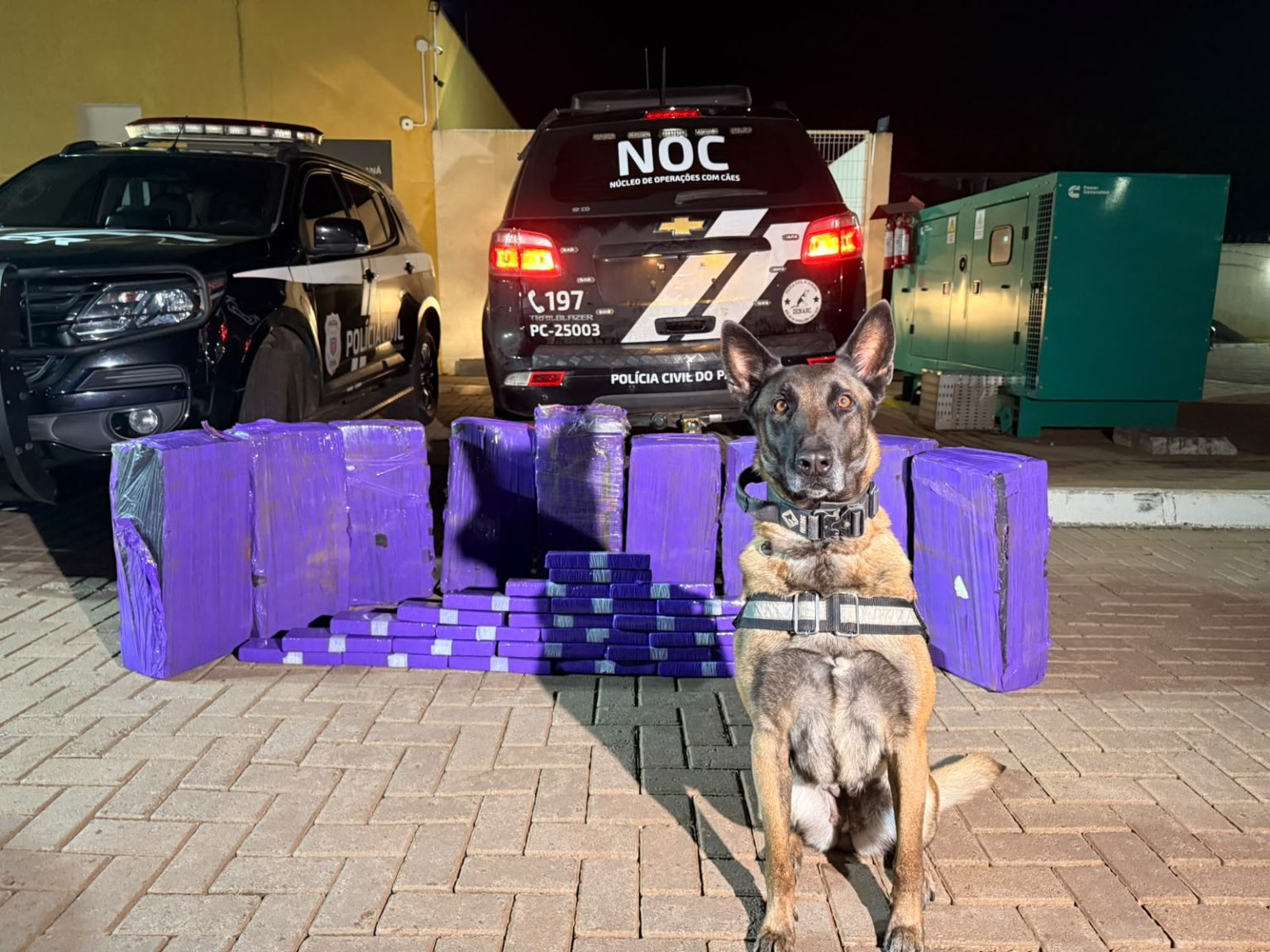 Céu Azul: Polícia Civil apreende mais de 200 quilos de maconha