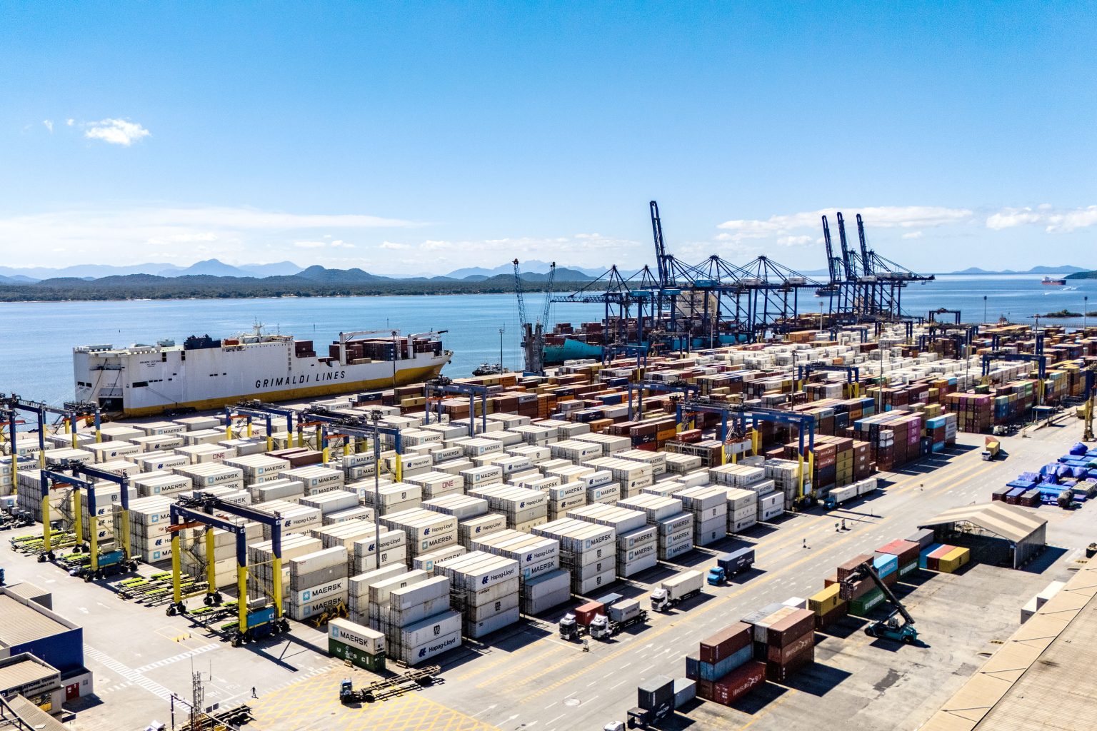 Liderança nacional: Portos do Paraná concentram quase metade das exportações de frango