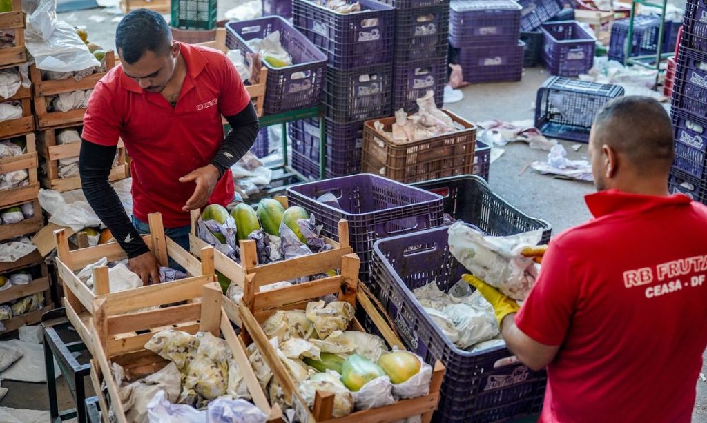Governo lança Plano Safra da Agricultura Familiar com R$ 97,3 bilhões