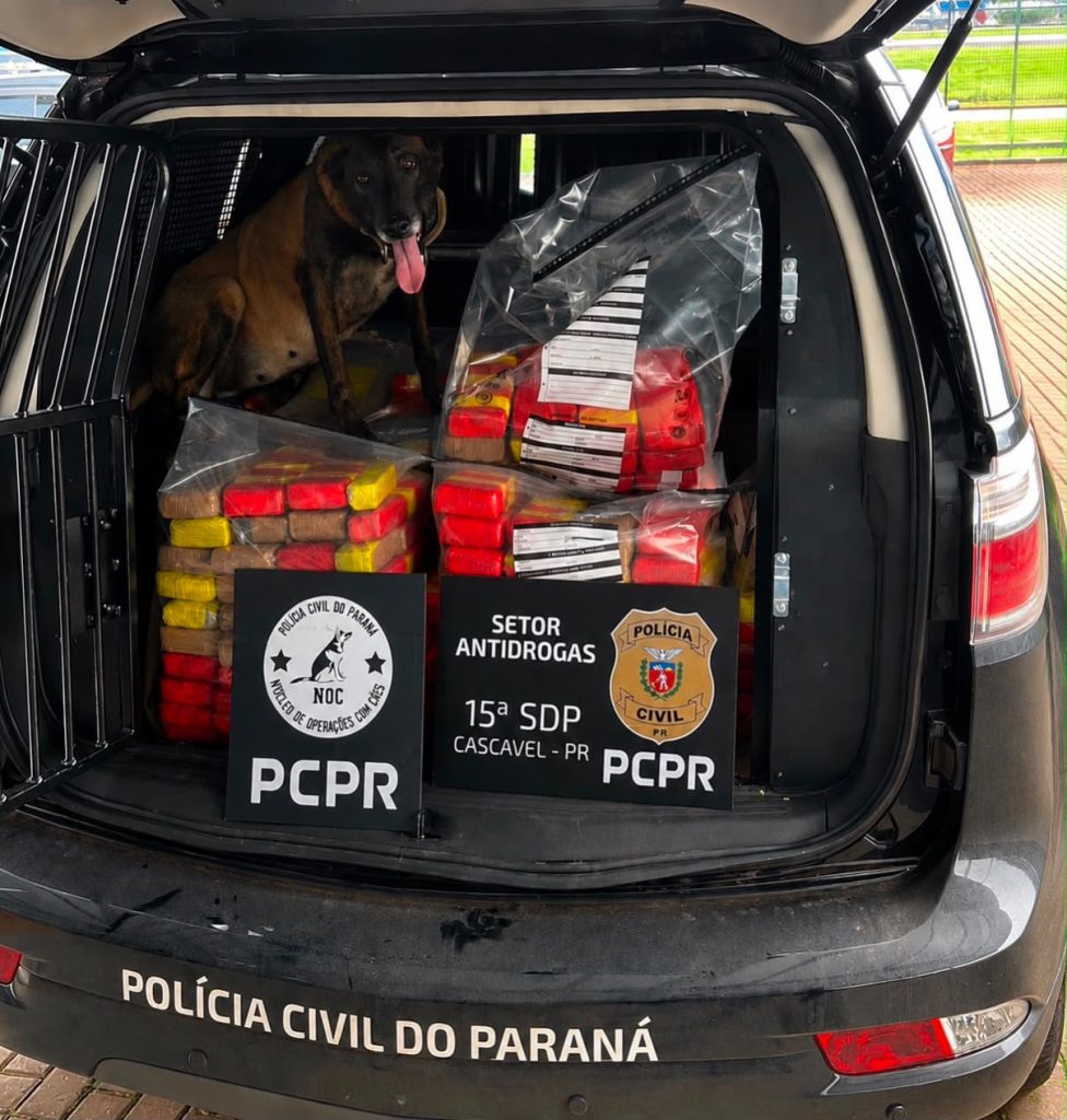 Cães de faro da PCPR localizam mais de 179 quilos de maconha em Londrina e Cascavel