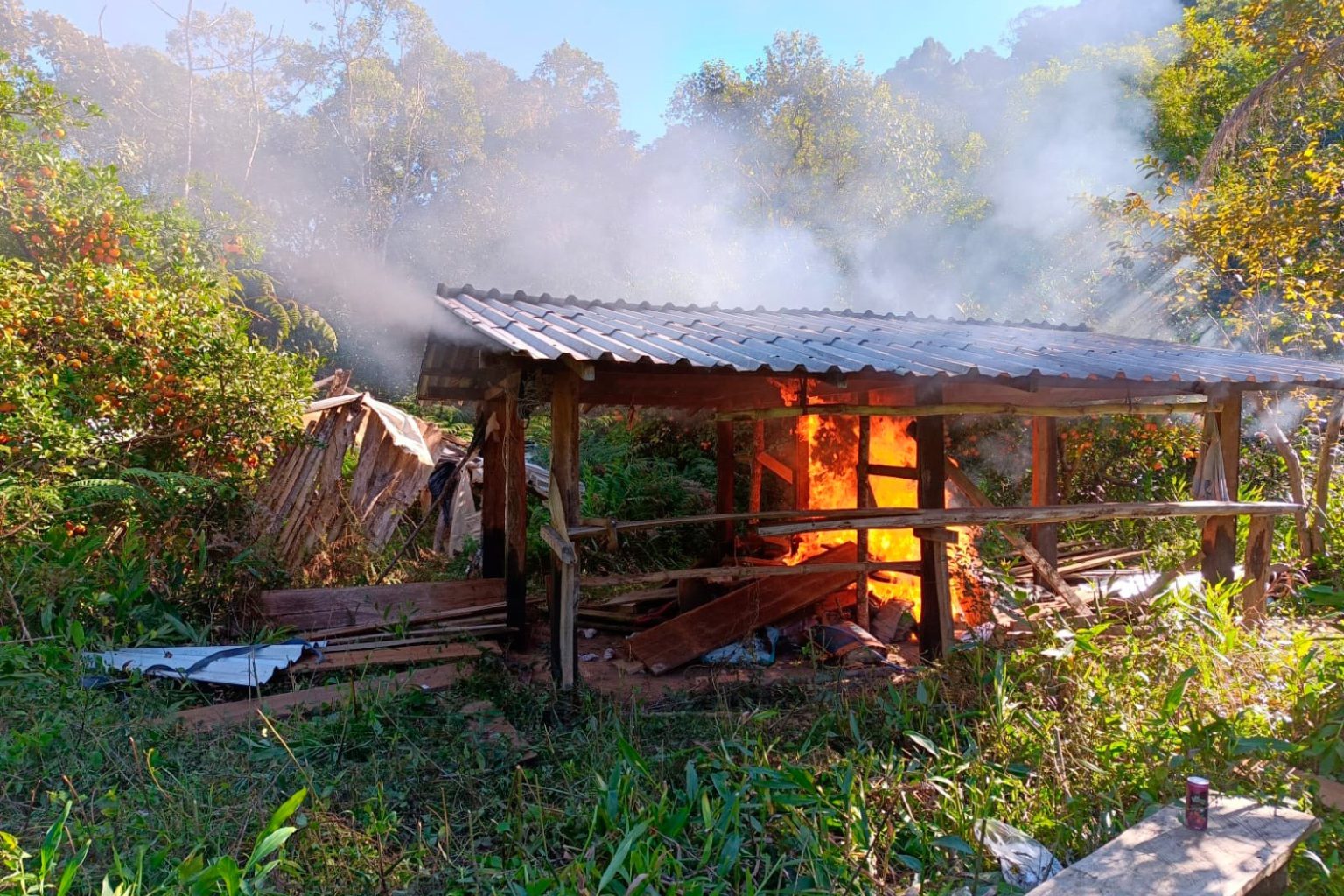 Crime ambiental: Operação do IAT destrói barracão de caçadores no Parque das Lauráceas