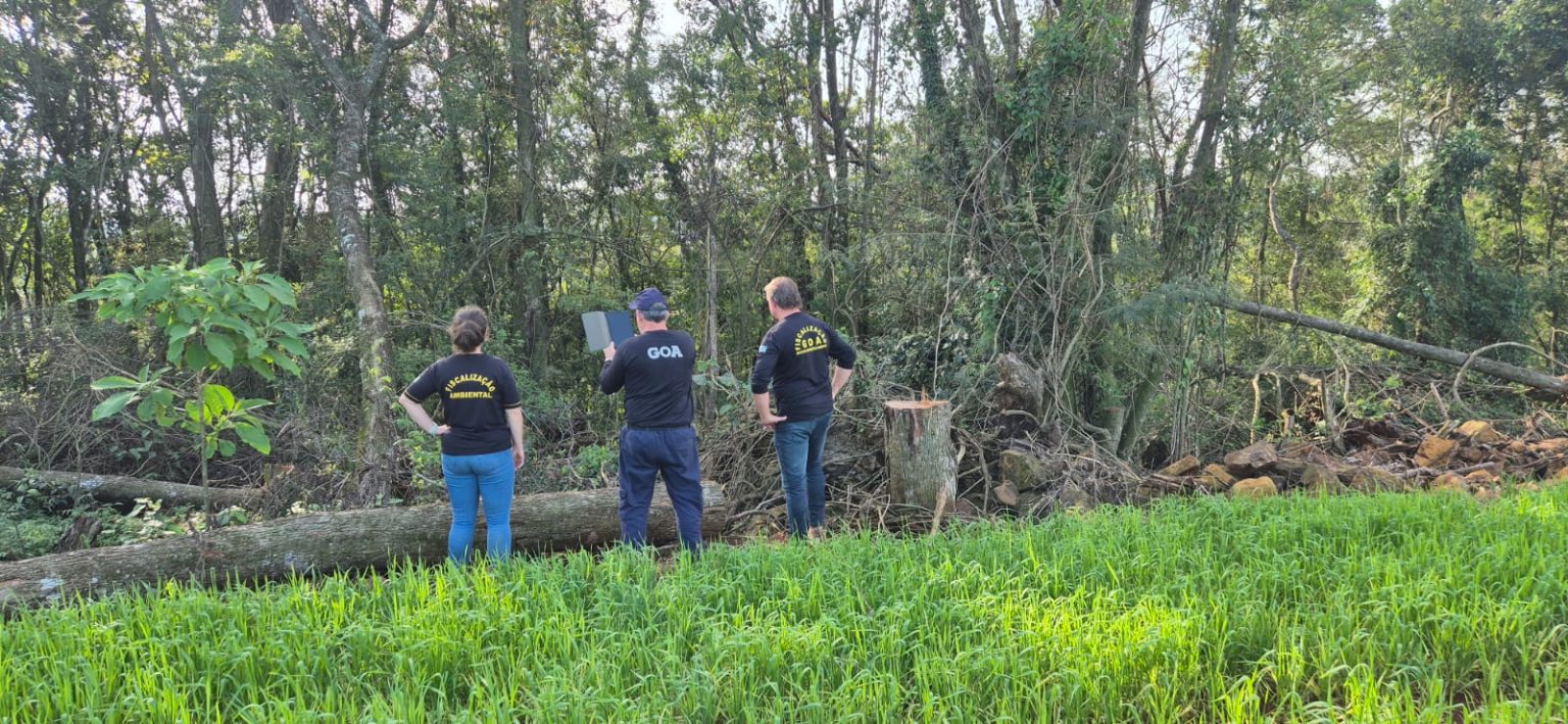 IAT aplica R$ 5,7 milhões em multas por desmatamento na Operação Mata Atlântica em Pé no Paraná