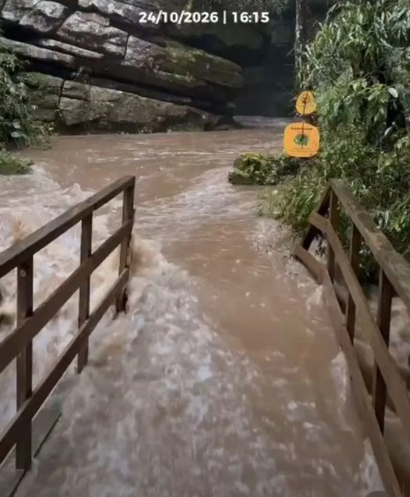 Temporal histórico: Chuva “engole” ponte no Parque Buraco do Padre e deixa mais de 7 mil afetados no Paraná